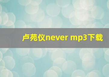 卢苑仪never mp3下载